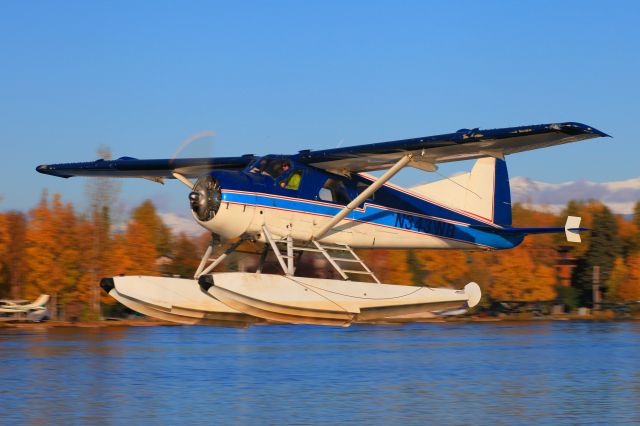 De Havilland Canada DHC-2 Mk1 Beaver (N343WB)