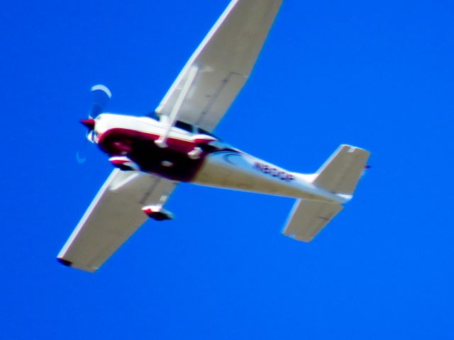 Cessna Skylane (N800P)