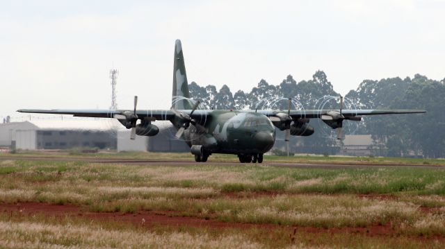 Lockheed C-130 Hercules (FAB2467)