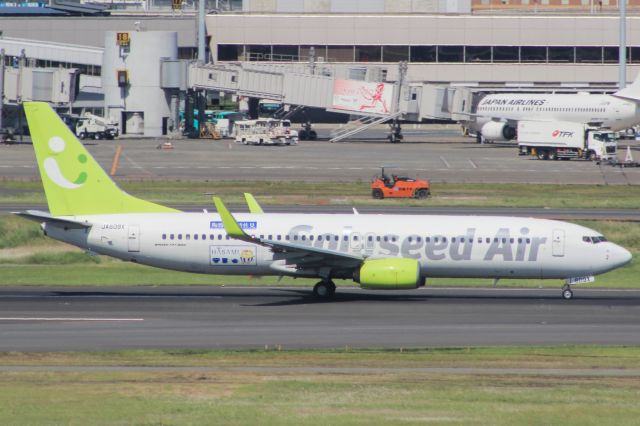 Boeing 737-800 (JA809X)