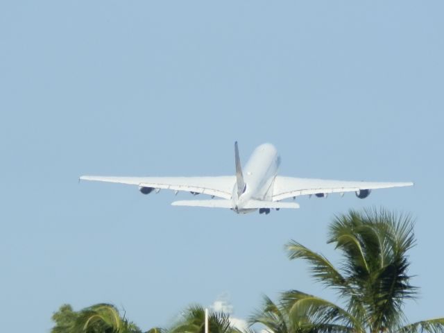 Airbus A380-800 (D-AIMI)