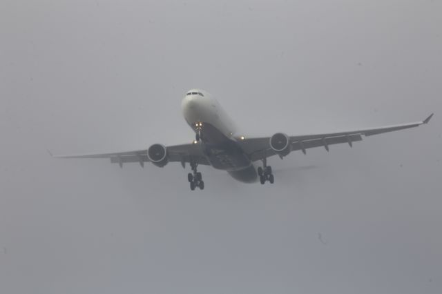 Airbus A330-300 (N820NW)