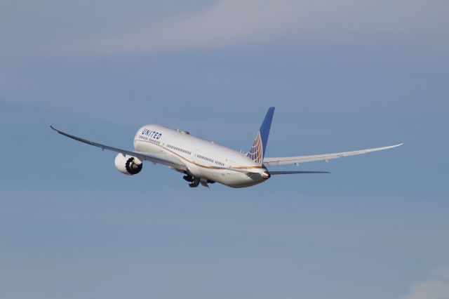 BOEING 787-10 Dreamliner (N12004)