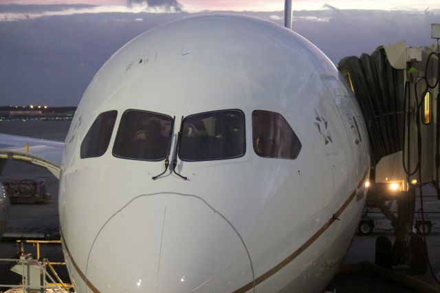 Boeing 787-8 (N26906) - Boarding gate E18 for IAH-EWR Nov 11, 2012