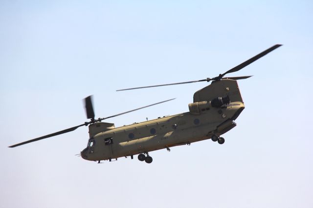 A15302 — - Boeing CH-47F Chinookbr /Royal Australian Armybr /Photo: 2.03.2019