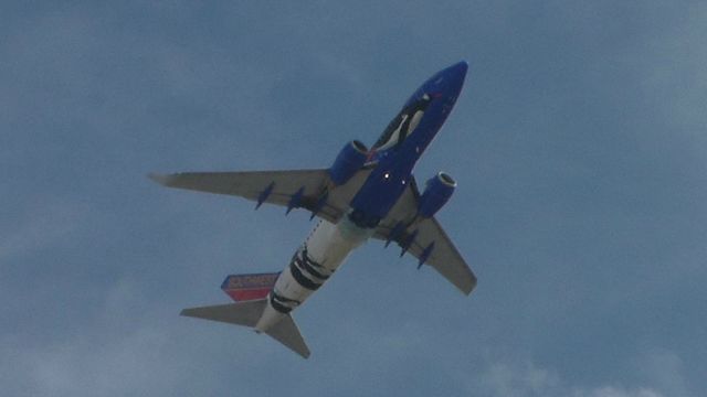 Boeing 737-700 (N280WN) - Taken 2013 when N280WN was recently painted with "Penguin One" livery. Bad photo, I know. Sorry :(