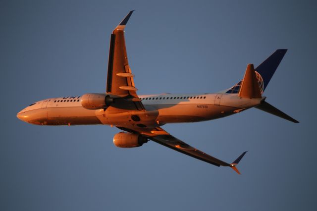 Boeing 737-800 (N87513)