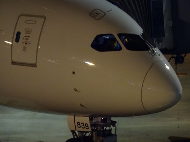 Boeing 787-8 (JA839J)