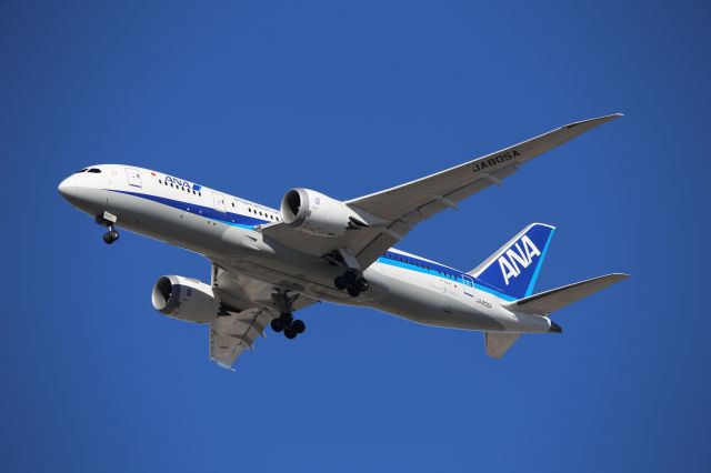 Boeing 787-8 (JA805A)