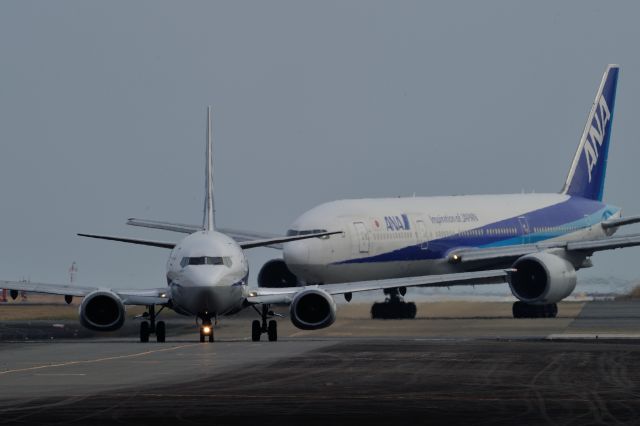 Boeing 737-500 (JA356K) - and JA703A(B772・ANA)
