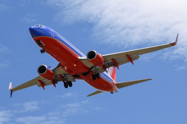 Boeing 737-800 (N8637A) - Arriving runway 33 from Tampa, FL.