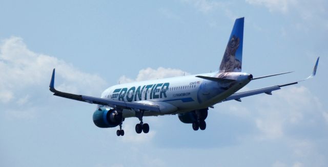 Airbus A320neo (N394FR) - About to touch down is this 2022 Frontier Airlines Airbus 320-251N with "Rivero" the Puerto Rican Crested Toad getting the tail view in the Summer of 2023.