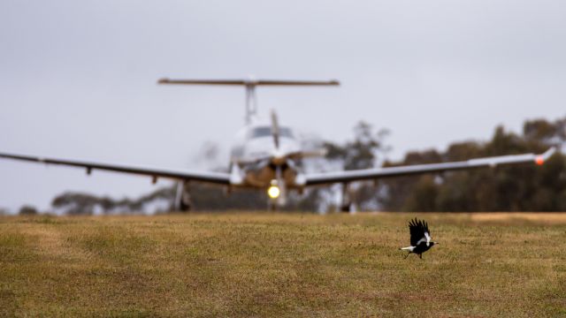 Pilatus PC-12 (VH-WPQ)