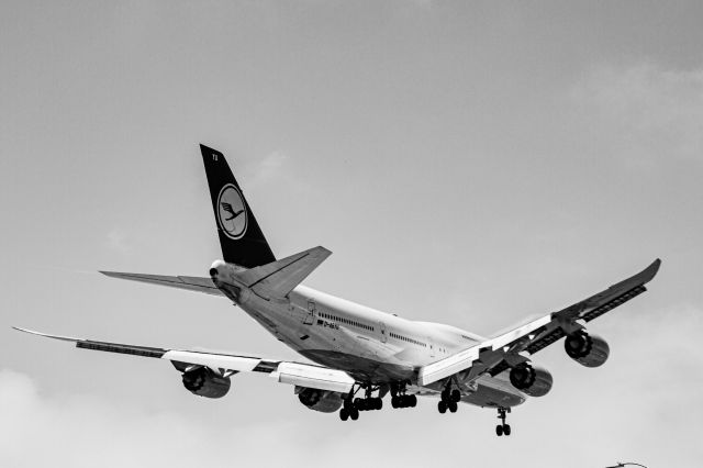 BOEING 747-8 (D-ABYU)