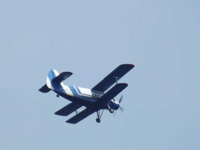 Antonov An-2 (RA-33336)