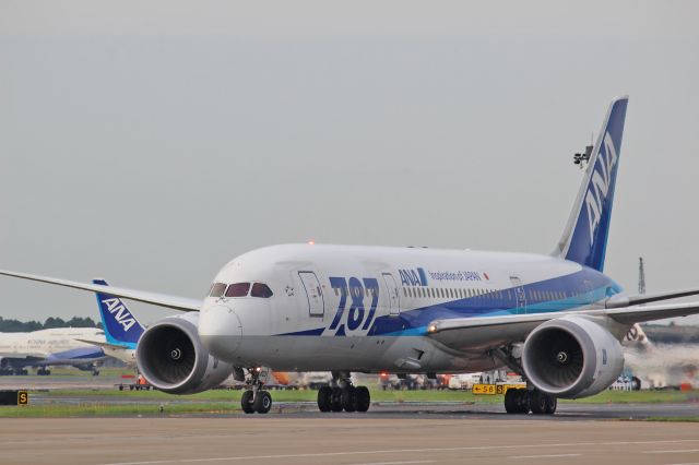 Boeing 787-8 (JA803A)