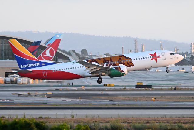 Boeing 737-800 (N8653A) - California One