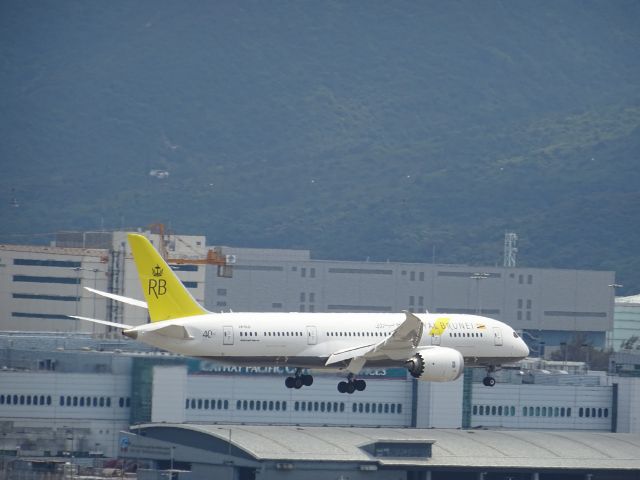 Boeing 787-8 (V8-DLD)