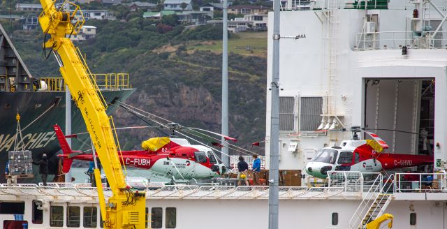 Eurocopter AS-350 AStar (C-FUBH) - Onboard the Korean icebreaker, Araon at Lyttelton, New Zealand. Departing for Antarctica in a few days time.