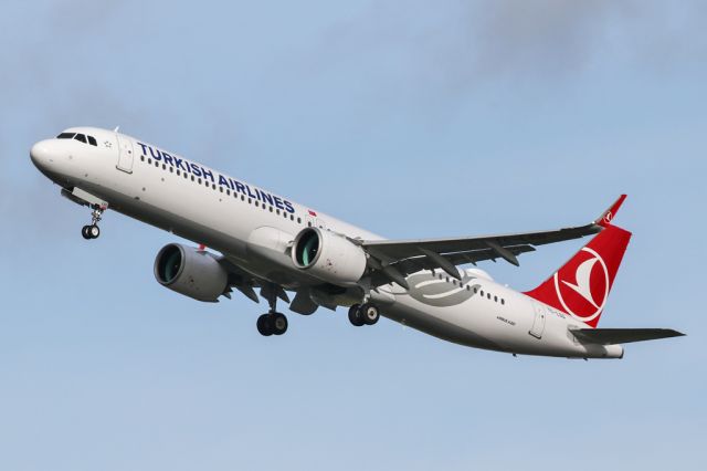 Airbus A321neo (TC-LSD) - TK1994 departing to IST
