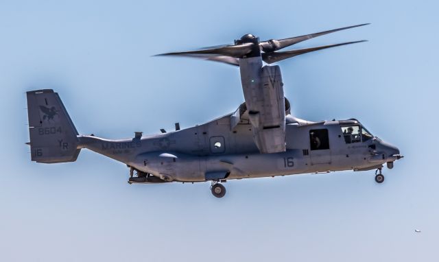 — — - VMM-161 GREYHAWKS 