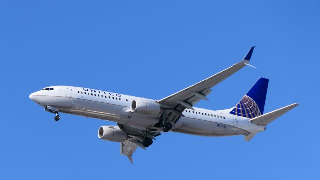Boeing 737-800 (N79541)