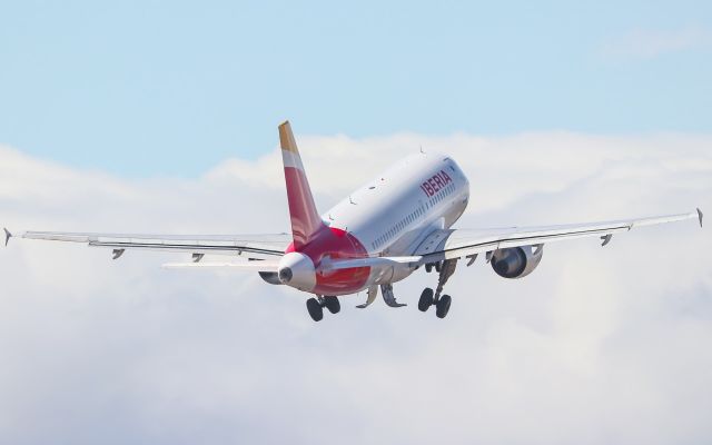 Airbus A319 (EC-LEI)