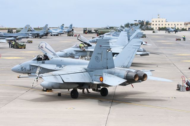 McDonnell Douglas FA-18 Hornet (C1524) - Las Palmasbr /Gando Air Base Visitbr /DACT2016br /01/03/2016