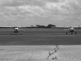 N184AK thumbnail