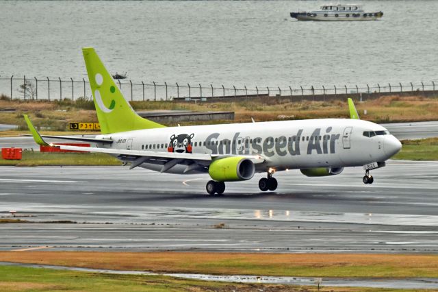 Boeing 737-800 (JA812X)