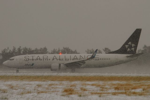 Boeing 737-800 (JA51AN)