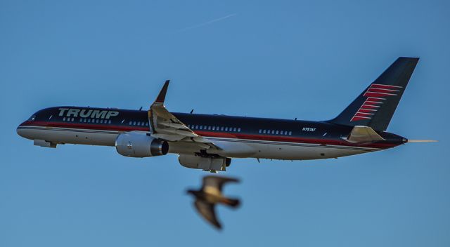 Boeing 757-200 (N757AF) - Trumps 757 being photobombed by a pigeon. Definitely a well time shutter snap.