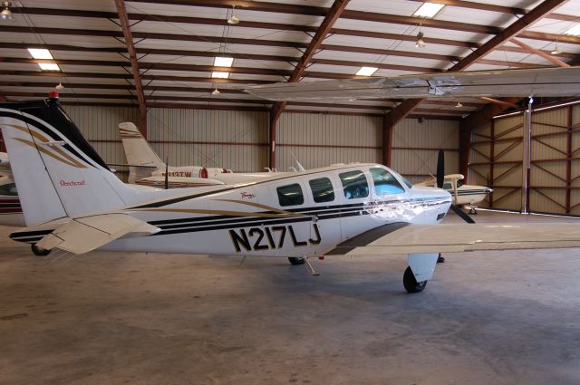 Beechcraft Bonanza (36) (N217LJ)