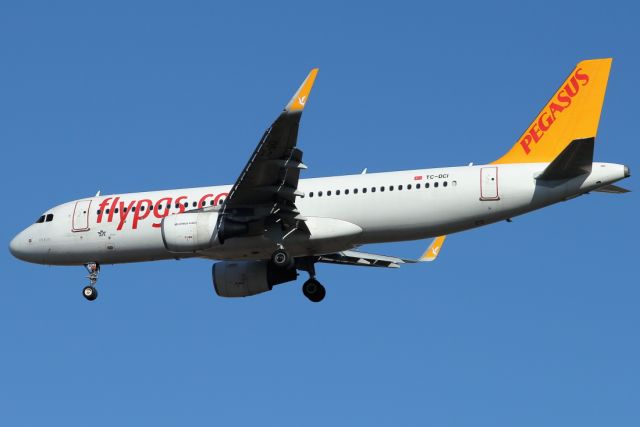 Airbus A320 (TC-DCI) - 02/02/2022: nFlight from istanbul (SAW) on final to runway 26.