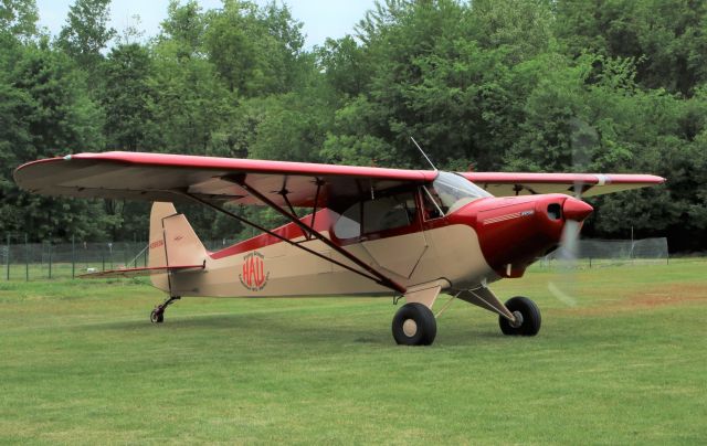 Piper PA-12 Super Cruiser (N3665M) - Ernie Hall Aviation Museum