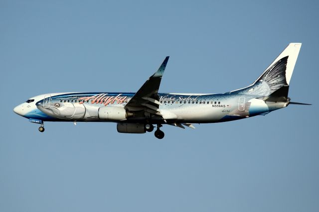 Boeing 737-800 (N559AS) - Salmon-Thirty-Salmon II arriving from Portland