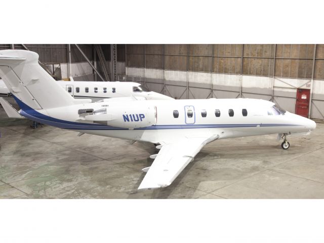 Cessna Citation III (N1UP)