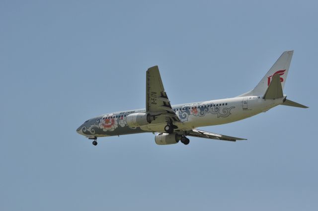 Boeing 737-800 (B-5178) - A young boy is Approaching Runway 01