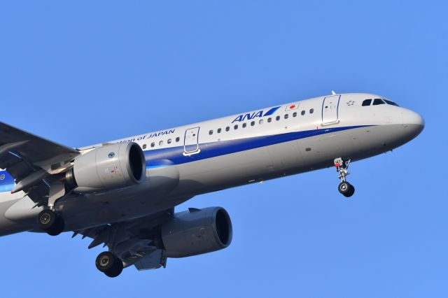 Airbus A321 (JA147A) - 2022.3.25