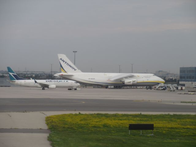 Antonov An-12 (UR-82029)