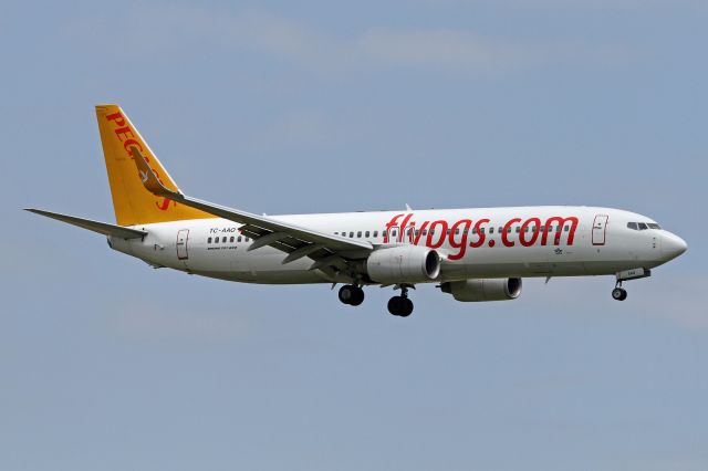 Boeing 737-800 (TC-AAO)