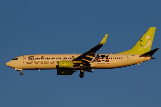 Boeing 737-800 (JA812X)