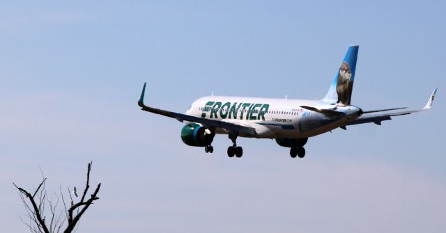 Airbus A320neo (N336FR) - On final is this 2018 Frontier Airlines Airbus 320-251N from the Winter of 2021.