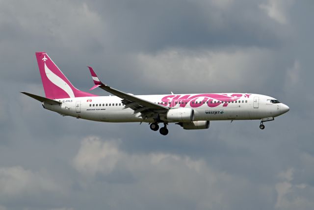 Boeing 737-800 (C-FPLS)
