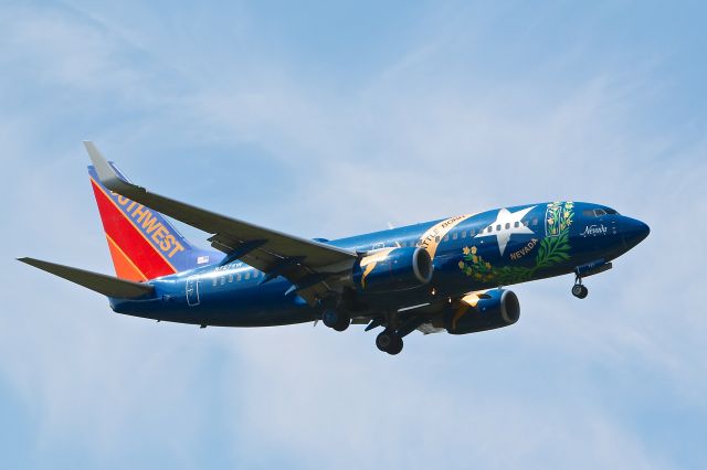 Boeing 737-700 (N727SW) - Southwest Airlines N727SW Nevada One seen landing on 33L August 11, 2012.