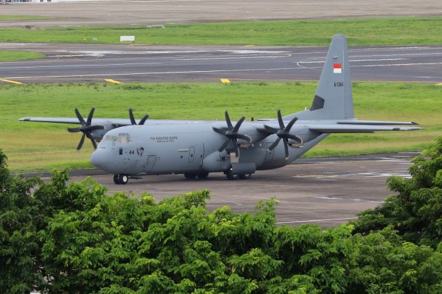 Lockheed C-130 Hercules (A1344)