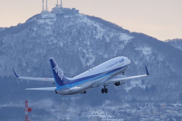 Boeing 737-800 (JA82AN) - 30 January 2016:HKD-HND.