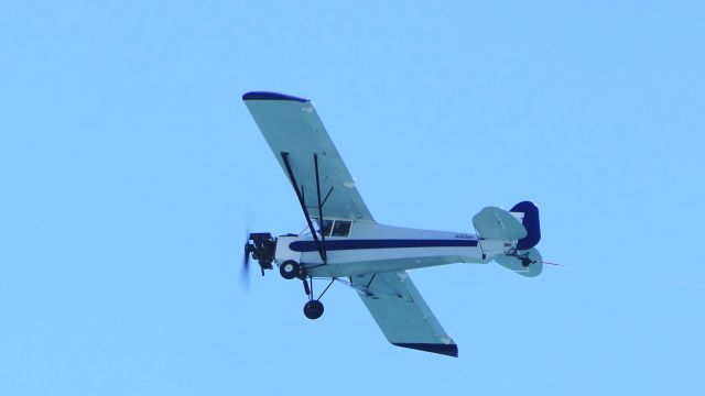 Piper L-21 Super Cub (N5428H)