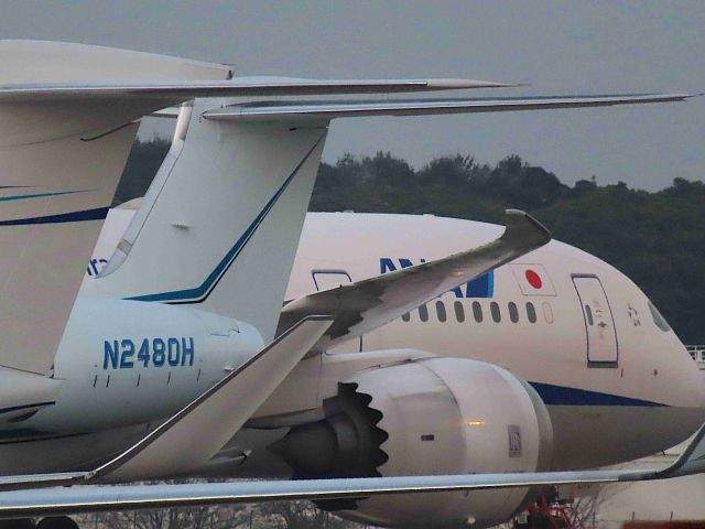 Gulfstream Aerospace Gulfstream V (N2480H) - I took this picture on Sep 30, 2019.br /The N2480H is surrounded by other airplanes and only the tail is visible.