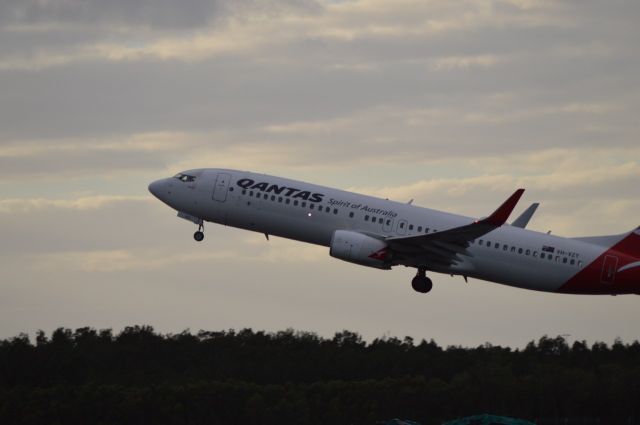 Boeing 737-800 (VH-VZY) - Brisbane Airport- Acacia street loop, early hours of the morning in April.